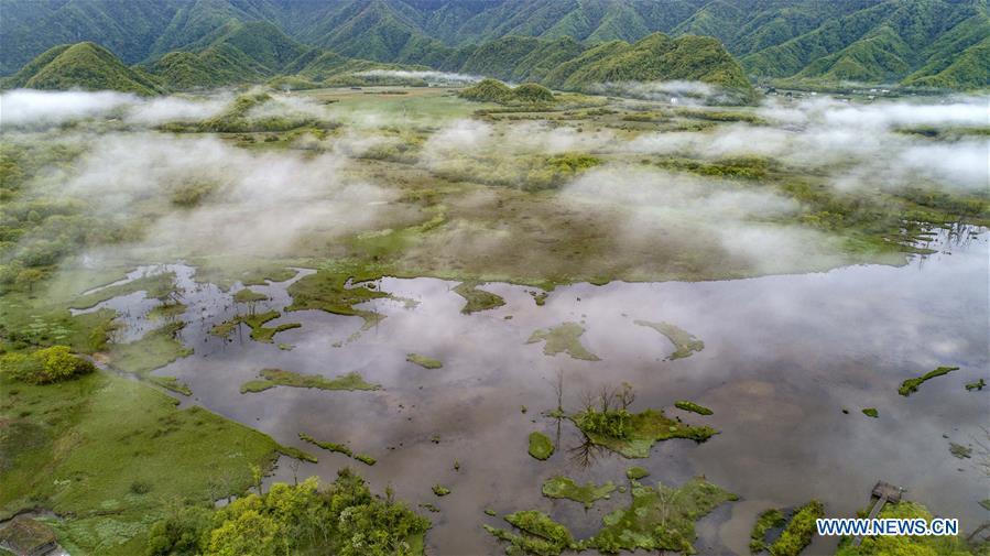 <?php echo strip_tags(addslashes(Aerial photo taken on May 16, 2019 shows the scenery of Dajiu Lake (nine lakes) wetland in Shennongjia, central China's Hubei Province. (Xinhua/Du Huaju))) ?>