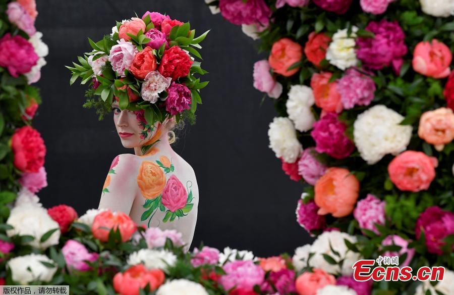 A model poses with body art and headwear made of Peonies at the RHS Chelsea Flower Show at the Royal Hospital Chelsea, London, Britain, May 20, 2019. (Photo/Agencies)
