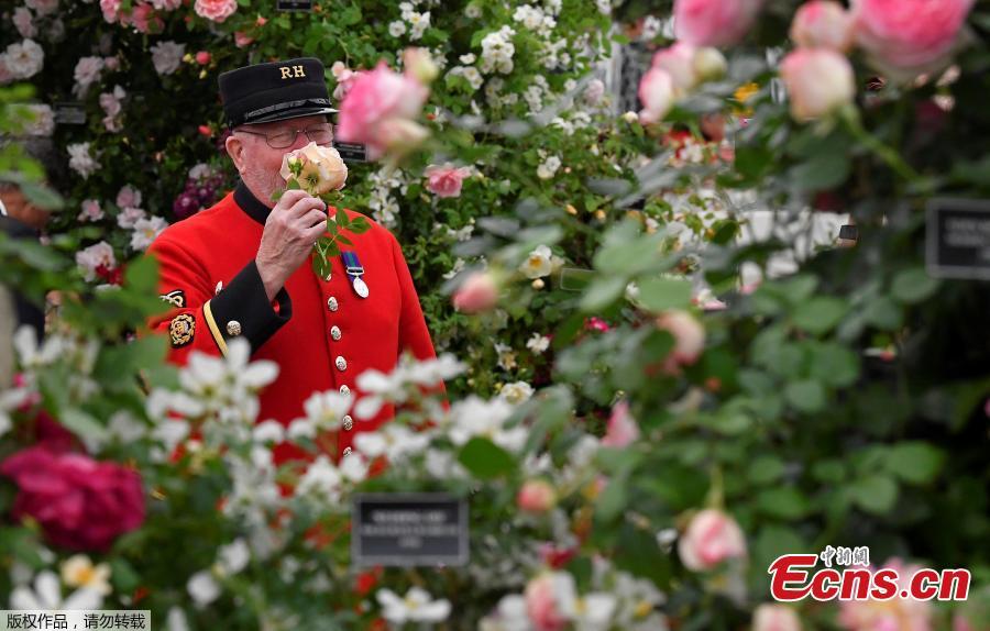 A Chelsea Pensioner smells a Rose at the RHS Chelsea Flower Show at the Royal Hospital Chelsea, London, Britain, May 20, 2019. (Photo/Agencies)