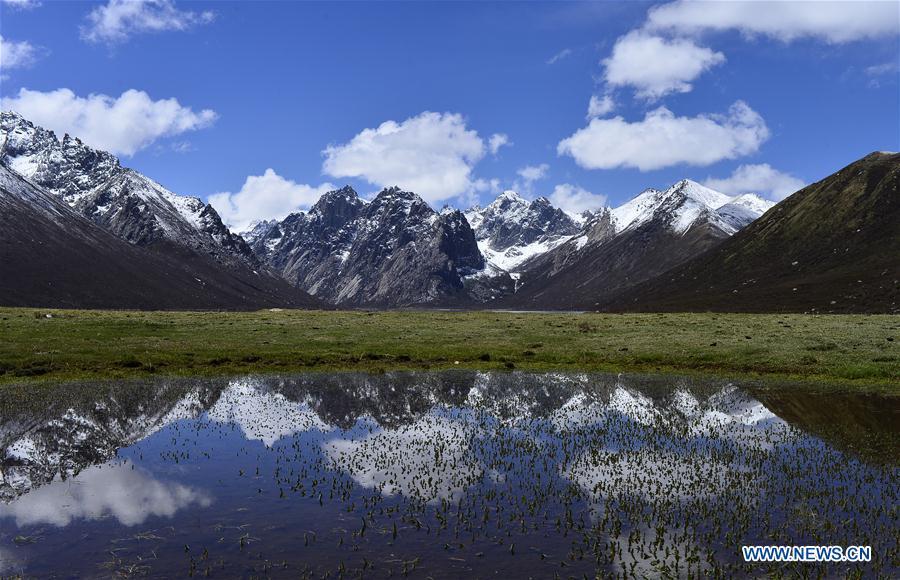 Photo taken on May 21, 2019 shows the scenery of the Nianbaoyuze Mountain Scenic Resort in Jiuzhi County of the Tibetan Autonomous Prefecture of Golog in northwest China\'s Qinghai Province. (Xinhua/Zhang Hongxiang)