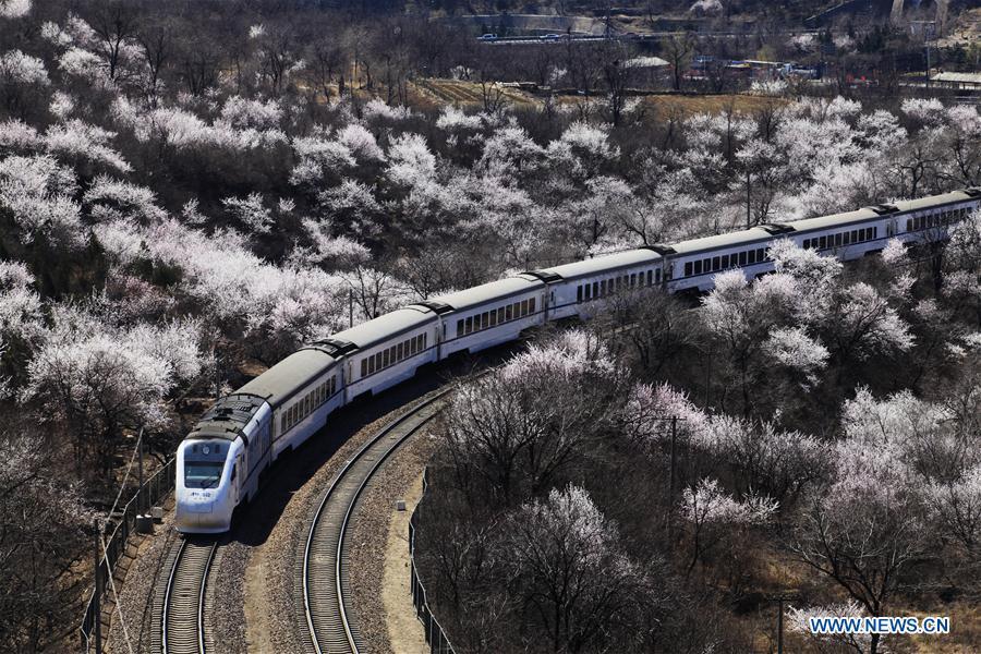 <?php echo strip_tags(addslashes(A train runs on the Juyongguan Pass section of the Beijing-Zhangjiakou railway, which is decorated by blooming flowers, in Beijing, capital of China, March 25, 2016. (Xinhua/Wang Xibao))) ?>