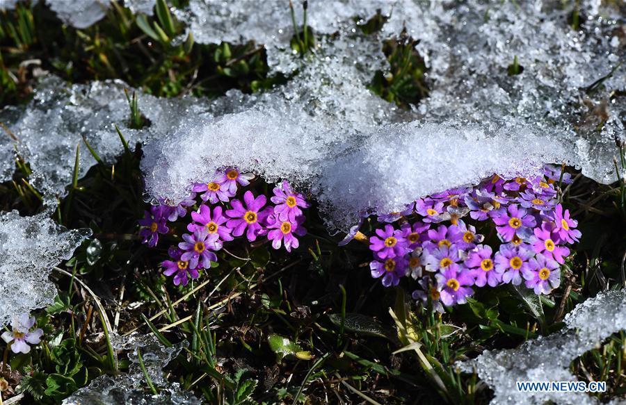 Photo taken on May 21, 2019 shows thawing ice at the Nianbaoyuze Mountain Scenic Resort in Jiuzhi County of the Tibetan Autonomous Prefecture of Golog in northwest China\'s Qinghai Province. (Xinhua/Zhang Hongxiang)