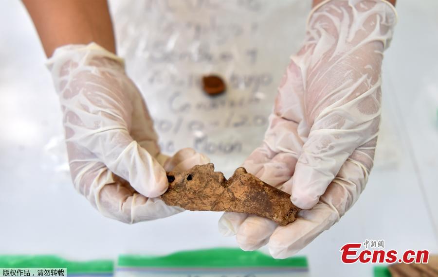View of a canine bone at the Joya de Ceren, in San Juan Opico, 35 km west of San Salvador, El Salvador, on May 23, 2019. Archaelogical excavations are conducted at Joya de Ceren archaeological site in search of clues on the life, crops and structures of this legendary Mayan town known as the \