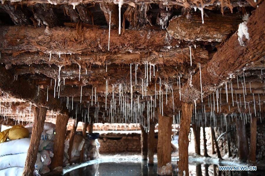 <?php echo strip_tags(addslashes(Photo shows salt stalactites formed by trickling brines in Mangkam County, southwest China's Tibet Autonomous Region, May 22, 2019. An ancient technique of salt production since Tang Dynasty (618-907) is well-preserved in Mangkam County. Local people follow a salt harvesting method by collecting brines from salt mines and ponds and evaporating them in the sun until crystallization. (Xinhua/Li Xin))) ?>