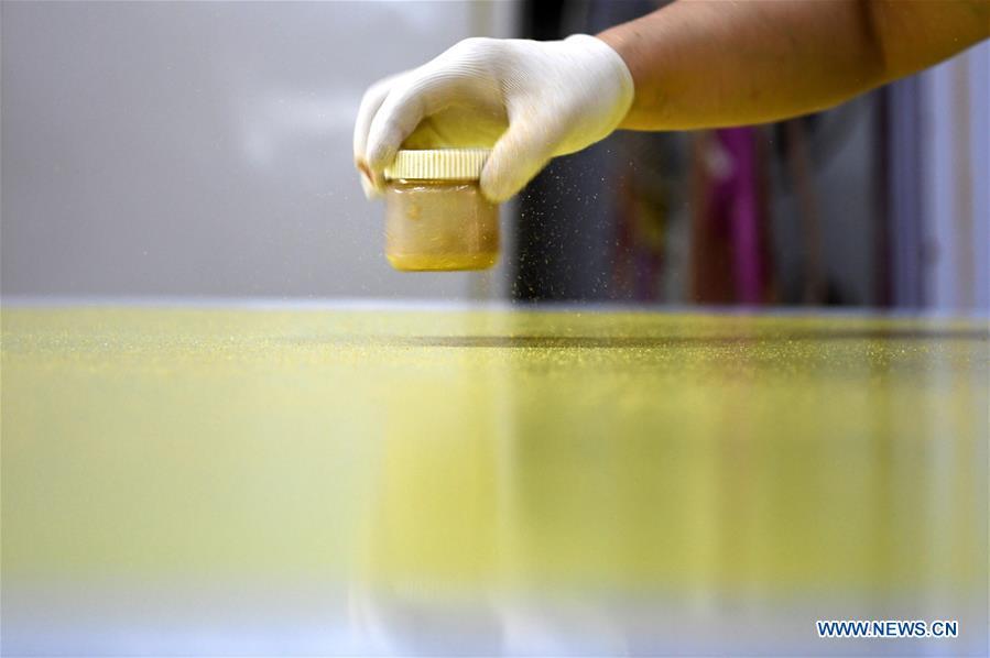 A worker scatters gold powder onto a piece of Fenlajian paper at a workshop run by paper artisan Liu Jing in Huanglu Township of Chaohu, east China\'s Anhui Province, May 23, 2019. Fenlajian is a high-end wax mineral paper which dates back to the Tang dynasty (618-907). For centuries, access to the Fenlajian paper had remained a privilege reserved solely for China\'s imperial families, due to the costly materials and the set of complicated procedures involved in its making. The techniques in producing this fine writing and painting material even became lost in the late Qing dynasty (1644-1911), until Liu Jing, an Anhui-based paper artisan, managed to revive them through constant trials by the end of the 20th century. Born in a family of paper-makers, Liu now runs a paper workshop dedicated to making Fenlajian and other classical papers while promoting their know-hows. Liu\'s classical paper processing techniques were listed as a national intangible cultural heritage in 2008, and he himself was named as a national representative inheritor to the aforementioned techniques in 2018. (Xinhua/Liu Junxi)