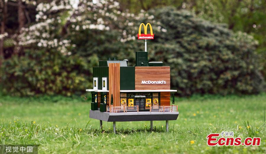 The world’s smallest McDonald’s has opened its doors in Sweden and it has everyone buzzing — literally. Called the McHive, the tiny McDonald’s is not serving burgers and fries to fast-food fans, it’s actually a fully functioning beehive for thousands of bees. The McHive features two drive-thru windows, a patio and outdoor seating, sleek wood panelling, and McDonald’s advertisements on the windows. (Photo/Agencies)