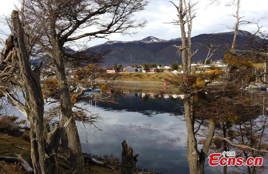 A view of the city of Puerto Williams is seen in Chile, May 16, 2019.