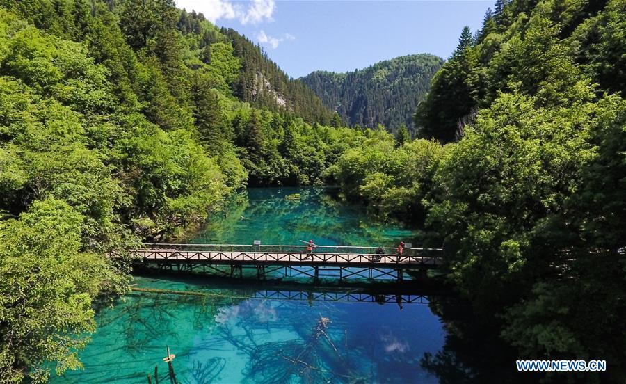<?php echo strip_tags(addslashes(Aerial photo shows a view of Lake Wuhuahai in the Jiuzhaigou National Park in southwest China's Sichuan Province, June 5, 2019. Due to damages caused by the magnitude-7.0 earthquake that hit here on Aug. 8, 2017, the park has been temporarily closed since July 2018 for renovation. (Xinhua/Xue Yubin))) ?>
