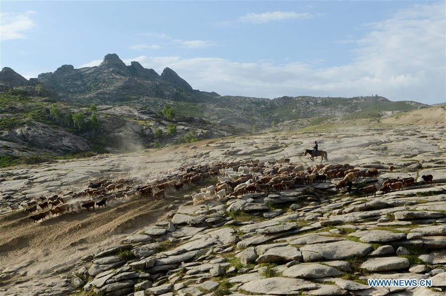 <?php echo strip_tags(addslashes(A herdsman drives the livestock in a trip for summer pasture in Fuhai County of Altay, northwest China's Xinjiang Uygur Autonomous Region, on June 6, 2019. As summer comes, herdsmen of Kazak ethnic group here are busy with transferring livestock to summer pastures. (Xinhua/Ding Lei))) ?>