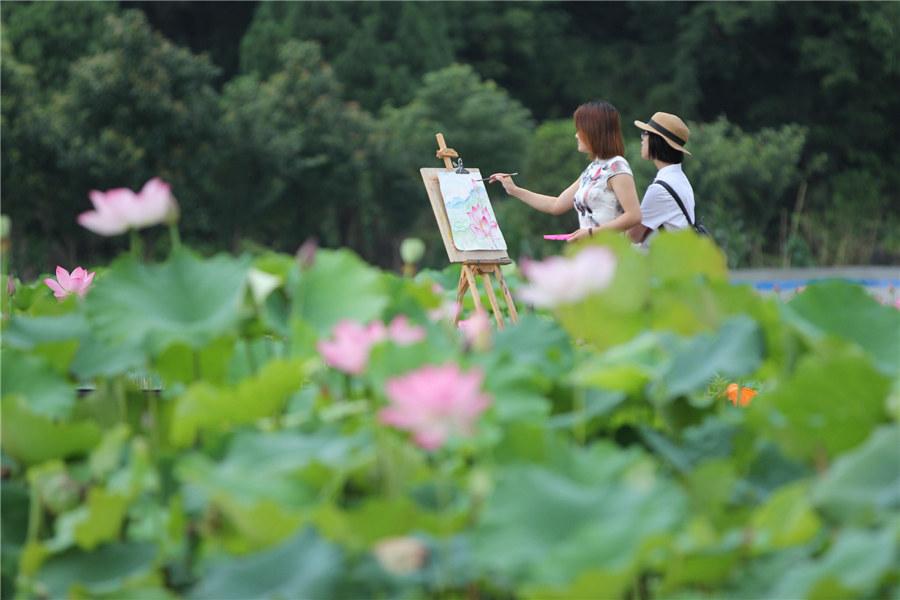 <?php echo strip_tags(addslashes(A lotus pond with pink blossoms at a local park in Yongzhou, Central China's Hunan Province, becomes a sightseeing magnet for shutterbugs and painters on June 9, 2019.  (Photo/Xinhua))) ?>