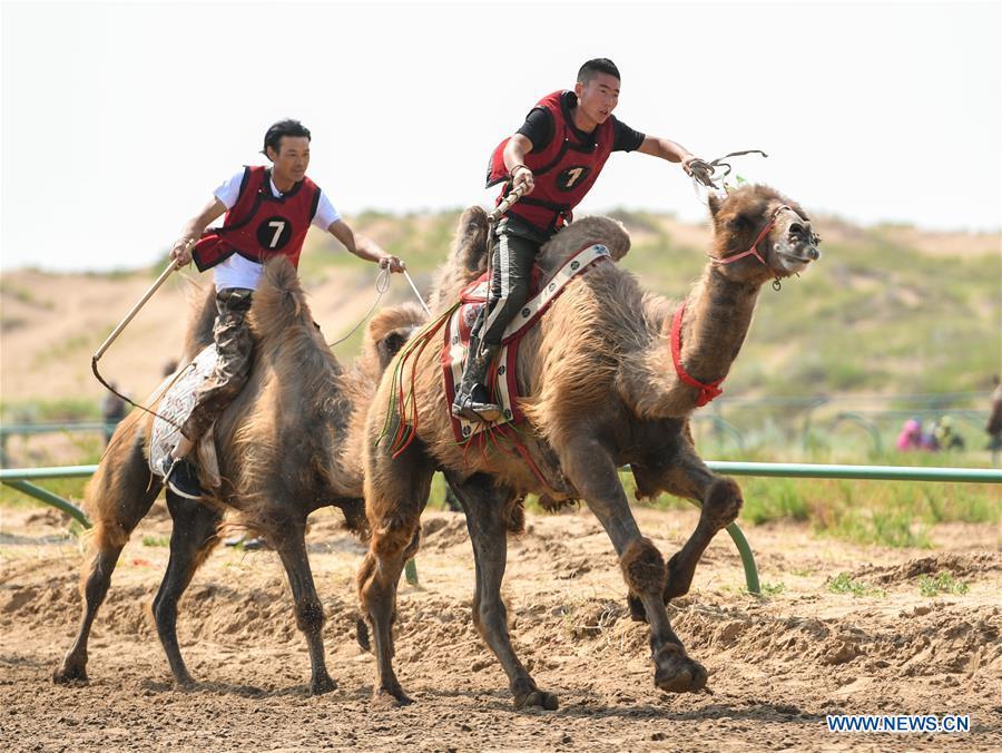 Participants take part in a camel riding contest during a desert Nadam Fair held in Naiman Banner, Tongliao City, north China\'s Inner Mongolia Autonomous Region, June 10, 2019. (Xinhua/Peng Yuan)
