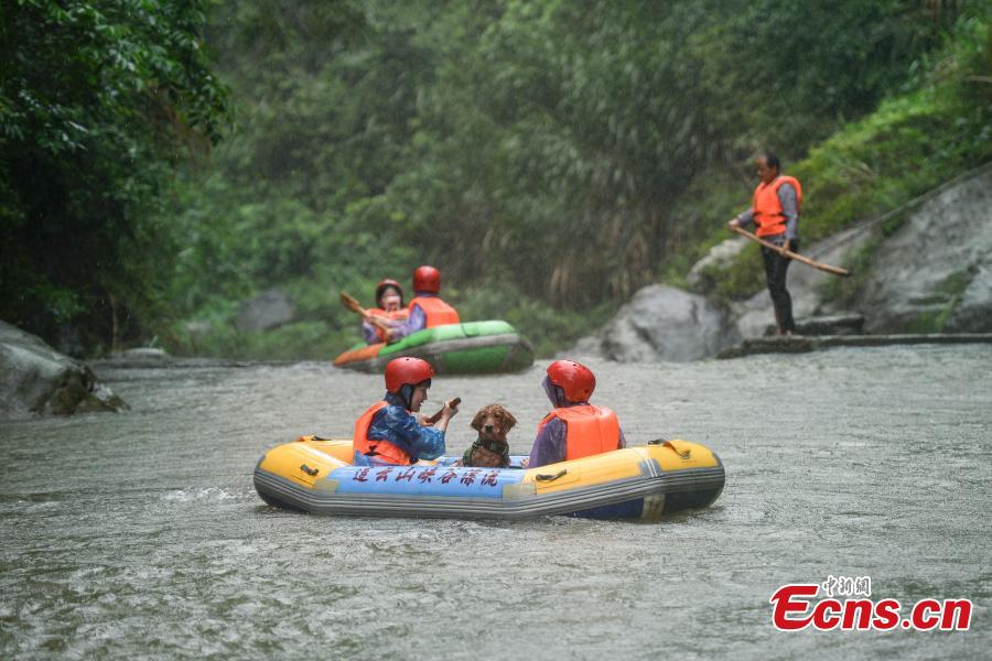 <?php echo strip_tags(addslashes(A unique rafting competition with entrants competing together with their canine pals is held in a river in Lianyun Mountain in Pingjiang County, Central China’s Hunan Province, June 12, 2019. The rafting route stretched for eight kilometers. (Photo: China News Service/Yang Huafeng))) ?>