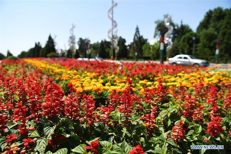 A decorating parterre to greet the fifth summit of the Conference on Interaction and Confidence Building Measures in Asia (CICA) is seen in Tajikistan\'s capital Dushanbe, June 13, 2019. (Xinhua/Sadat)