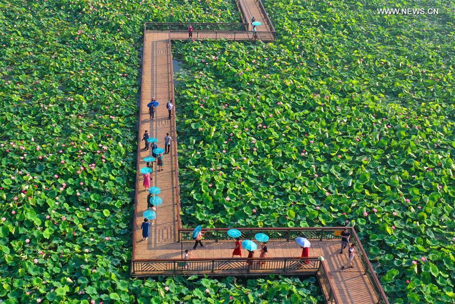 <?php echo strip_tags(addslashes(Aerial photo taken on June 15, 2019 shows people watching lotus flowers at Nanhu Park in Hengyang, central China's Hunan Province. (Xinhua/Cao Zhengping))) ?>