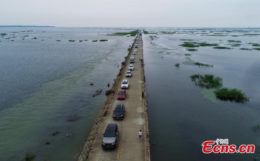 <?php echo strip_tags(addslashes(Photo taken on June 16, 2019 shows the submerged Dahuchi section of Yongxiu-Wucheng Road in East China's Jiangxi province. Continuous rain in Jiangxi has led to a rise of water level of the Poyang Lake, China's largest freshwater lake. The Dahuchi section of Yongxiu-Wucheng Road was submerged in water. (Photo: China News Service/Mao Jiajia))) ?>