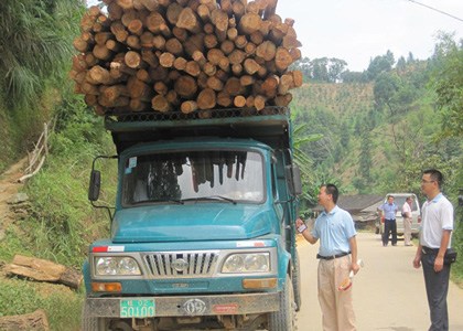 Government's crackdown on smuggling endangered plants