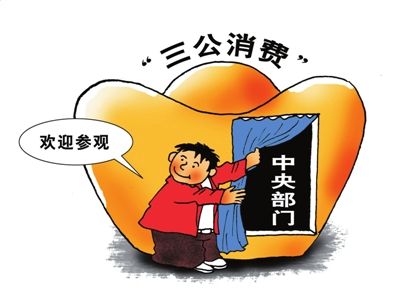 By July 18, 45 of the 98 ministries have unveiled their fiscal information regarding funds used for the three public consumptions.