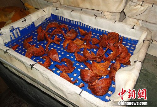 Some red cubilose contained an excessive amount of nitrite that health standards allow. 