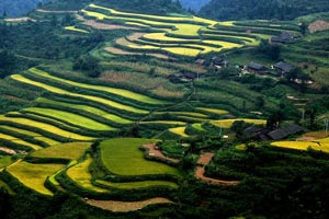 Rural collective land reform is high on the agenda in China.