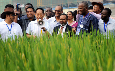 SUPER RICE: Yuan Longping (with loud speaker), introduces the Y Two Superior No.2 strain of rice to foreign visitors to his experimental field in Longhui County, Hunan Province, on September 29, 2011.