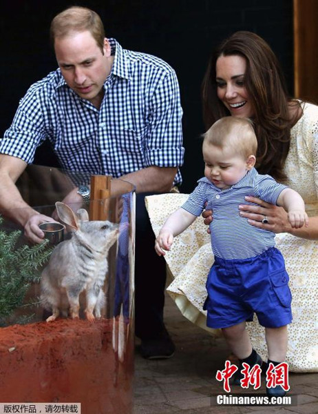Prince George certainly had a special first Easter Sunday getting up close and personal with the wild animals at Taronga Zoo on April 20, 2014.(Photo/Agencies)
