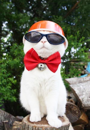 Uncle Shiro stands on aa wood log with glasses on histhe face