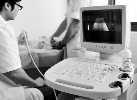 The veterinarian was taking an ultrasound examination on a dog.