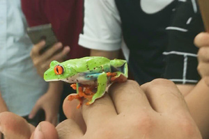 Teacher's pets prove a hit with college students