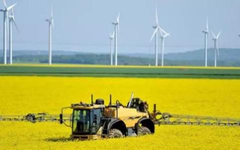 Battle for talent spreads to rural China