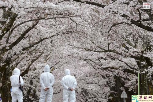 Seven years on, Fukushima nuclear cleanup still long way to go