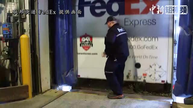 Pandas soar on Toronto to Calgary flight