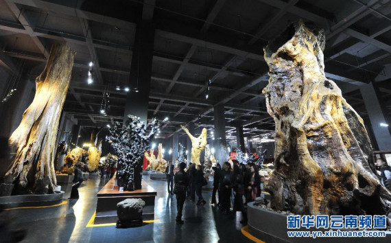 This geological museum in Kunming, capital of Southwest China's Yunnan Province, features exhibits of Karst formations. (Photo/Xinhuanet)