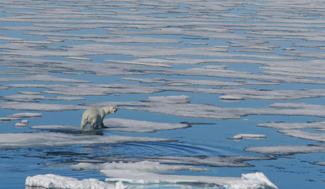 File photo of the Arctic region (Photo: cnr.cn)