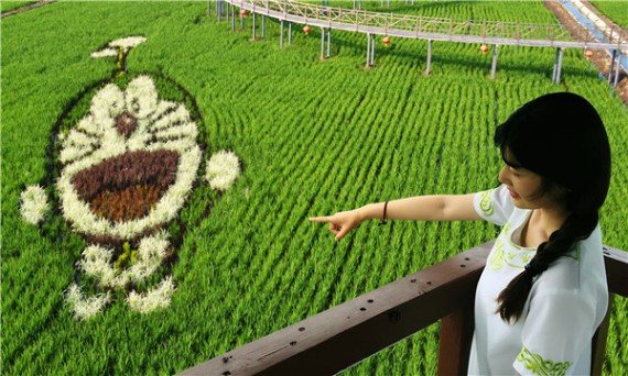 A tourist in Shenyang admires Tanbo farm art of Doraemon that portrays a magical cat character from a Japanese manga series. (Photo: China Daily/Liu Dong)