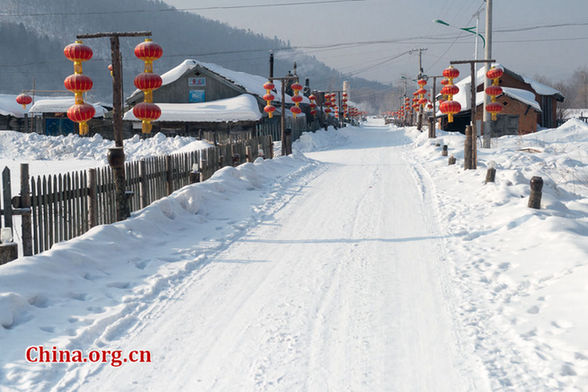 Red lanterns are hung from poles on both sides of a small road in the Laobaishan Snow Village in rural Dunhua City of northeast China's Jilin Province on Jan. 20, 2017 as the locals prepare for the upcoming Spring Festival. (Photo/China.org.cn)
