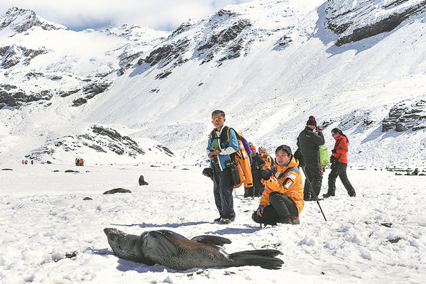 Chinese tourists take pictures of seals in Antarctica in January. (Photo/CHINA DAILY)