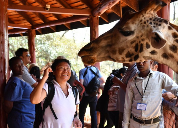 A Chinese tourist looks at a giraffe in Nairobi, the capital of Kenya. XINHUA