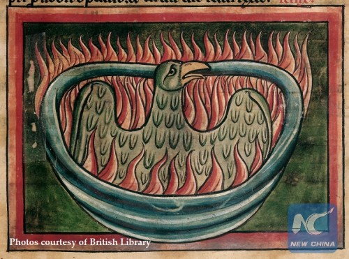 A phoenix rising from the ashes in a 13th century bestiary. (Photo courtesy of British Library)