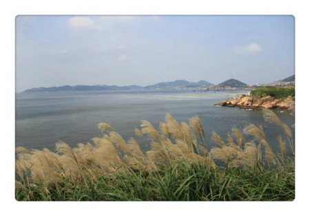 Exploring Zhejiang Province's Gouqi Island