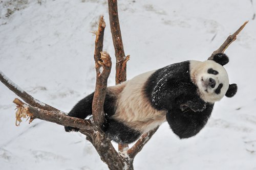 The top eight things you should do in China in 2018