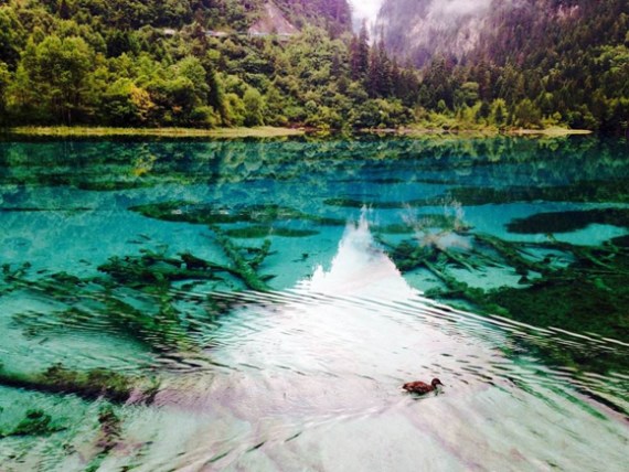 Scenery of Jiuzhaigou in Southwest China's Sichuan province pictured after the earthquake in August 2017. (Photo provided to chinadaily.com.cn)