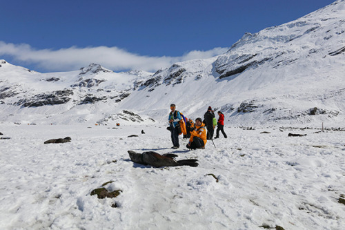 Chinese tourists encounter seals during their trip to Antarctica. (Photo by Wang Ya'nan/For China Daily)