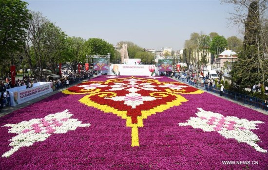 Photo taken on April 12, 2018 shows the tulip carpet at Sultanahmet Square in Istanbul, Turkey. Some 30 million tulips are giving Istanbul a big facelift, promising a seasonal feast for the eyes in streets, parks and gardens. (Xinhua/He Canling)
