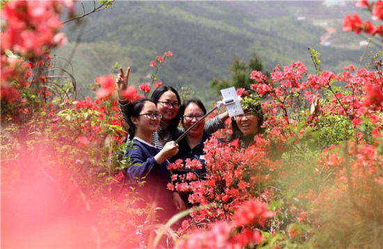 Visitors take a selfie in flowering trees during the recent Qingming holiday in Daoxian county, Hunan Province. (Photo provided to China Daily)