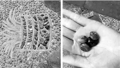 Stop swiping 'souvenir rocks' from Forbidden city, museum tells tourists