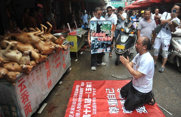 Chinese animal protection activist nicknamed Pian Shan Kong kneels down in front of dogs killed and to be eaten to show apology during a campaign to advocate stopping eating dog meat at a free market in Yulin city, south Chinas Guangxi Zhuang Autonomous Region, 21 June 2012. [Photo: Imagine China]