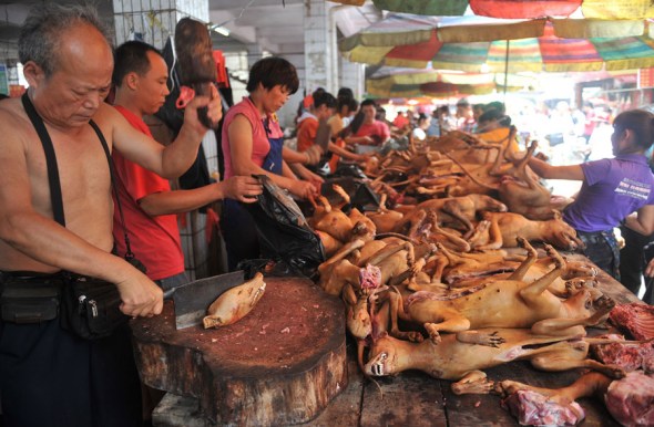 Chinese vendors sell dog meat at a free market in Yulin city, south Chinas Guangxi Zhuang Autonomous Region, 21 June 2012. [Photo: Imagine China] 