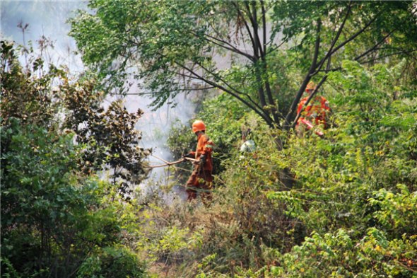 Fire crews fight a blaze sparked by hot weather in suburban forests three kilometers north of Suijiang countyJiangxi province on Aug 7, 2013, finally dousing the flames in two hours. [Li Jianping/Asianewsphoto]