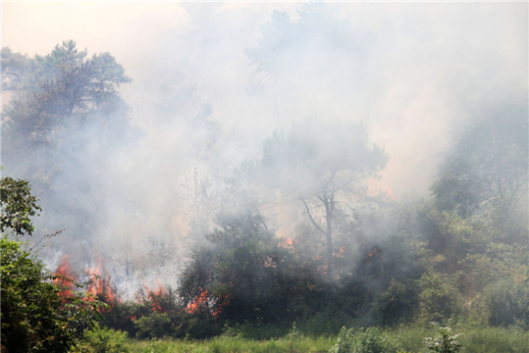 A wild fire breaks out on Aug 7 in suburban forests three kilometers north of Suijiang countyJiangxi province after prolonged hot, dry weather lingered in the region. The fire was put out by fire crews in two hours. [Li Jianping/Asianewsphoto]