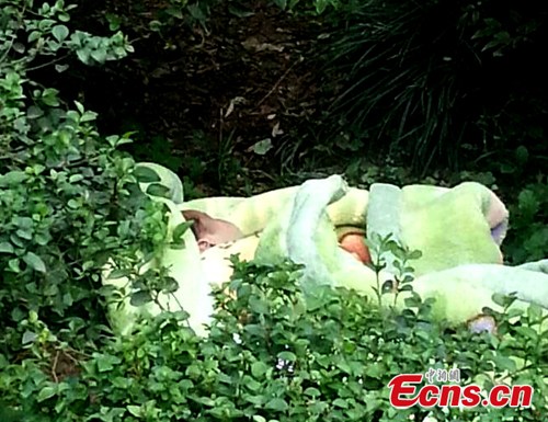 A baby is found dead in the nature strip in Yibin city, Southwest China's Sichuan province on Wednesday, Nov 19, 2014. Local police are investigating the death of the baby who was abandoned on the road verge. (Photo: China News Service/Li Jingyi)